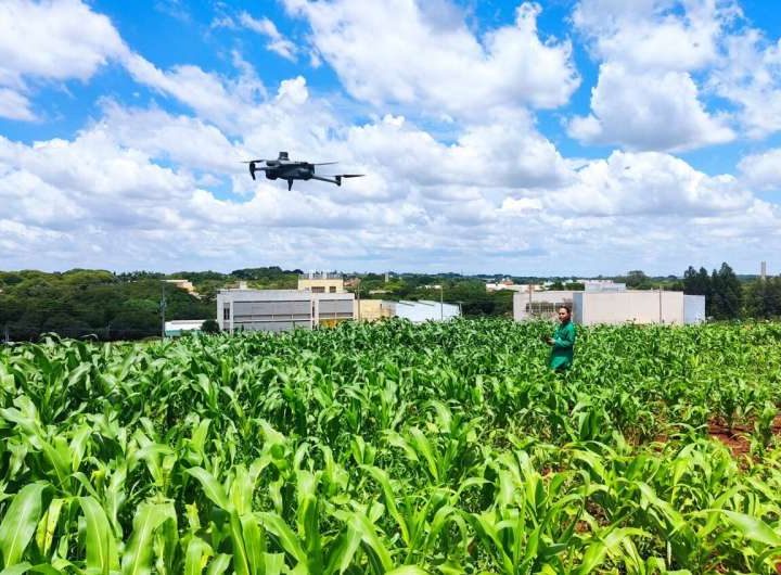 Drone and camera combo offers affordable drought-tolerance selection for corn