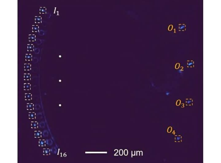 Programmable photonic chip uses light to accelerate AI training and cut energy use