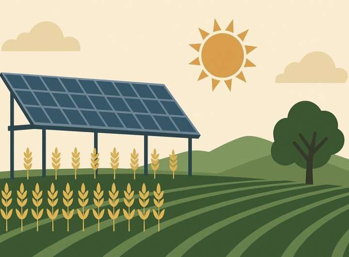 Agrivoltaics study reveals potential solution to land competition between agriculture and solar energy