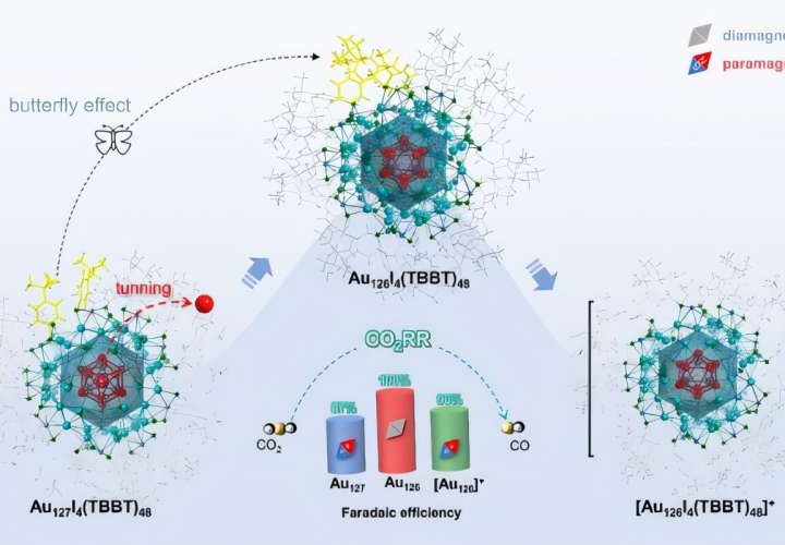 Gold nanoclusters reveal magnetic spin’s potential role in catalytic efficiency