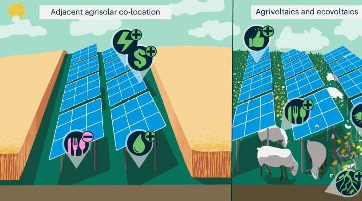 Should farm fields be used for crops or solar? Research suggests both