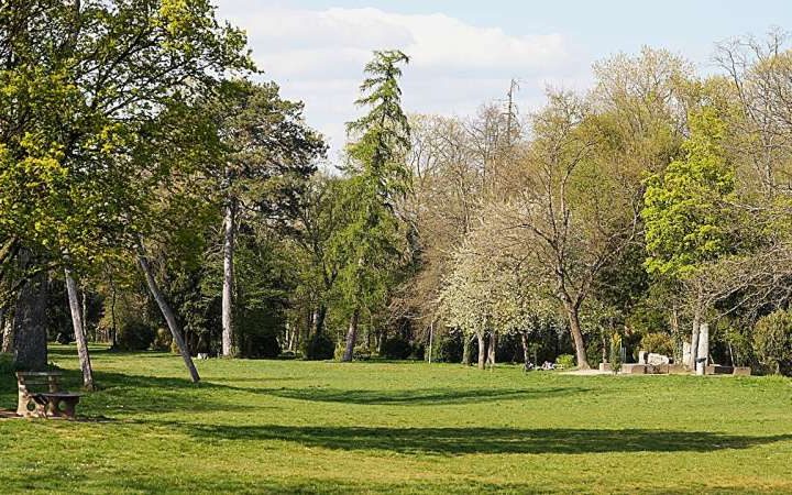 Diverse tree populations can make cities more climate-resilient and people happier