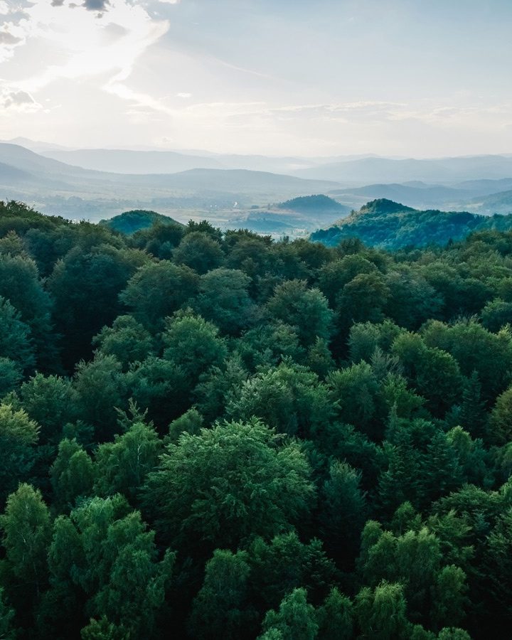 British satellite to map Earth’s forests in 3D and reveal carbon secrets from space