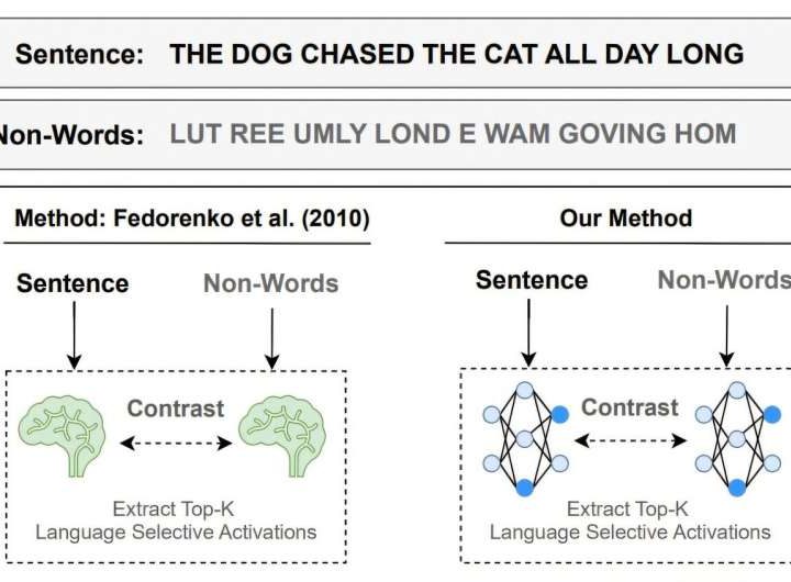 Key units in AI models mirror human brain’s language system