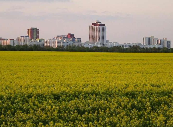 After the apocalypse: Urban and near-urban farming may be enough to sustain mid-size cities