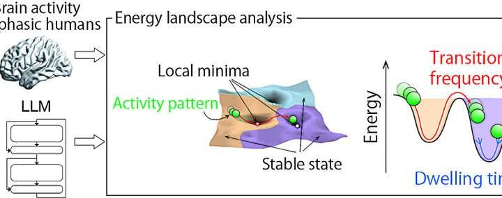 AI overconfidence mirrors a human language disorder