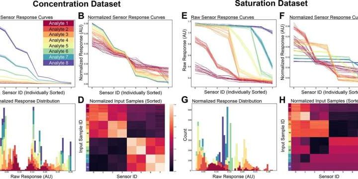 AI model mimics brain’s olfactory system to process noisy sensory data efficiently