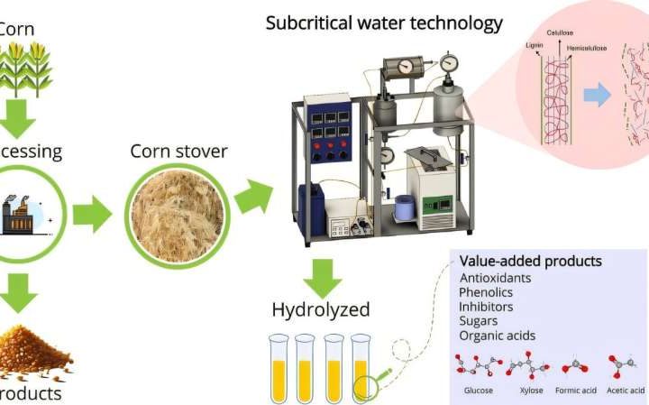 Green technology uses corn stover to produce high-value bioderivatives and generate savings