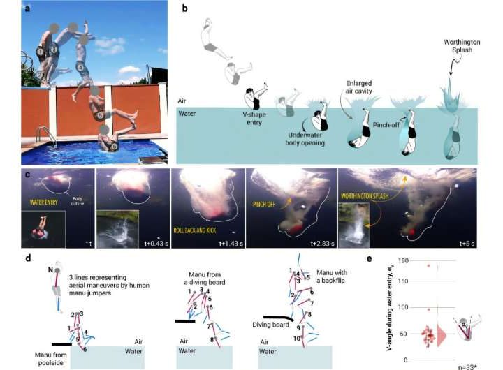 ‘Manu jumping’: The physics behind making humongous splashes in the pool