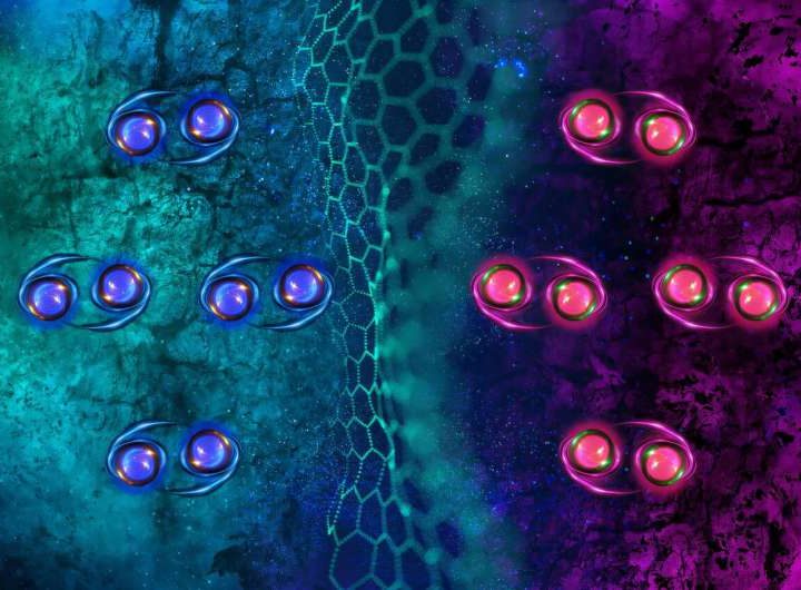 A newly discovered type of superconductor is also a magnet