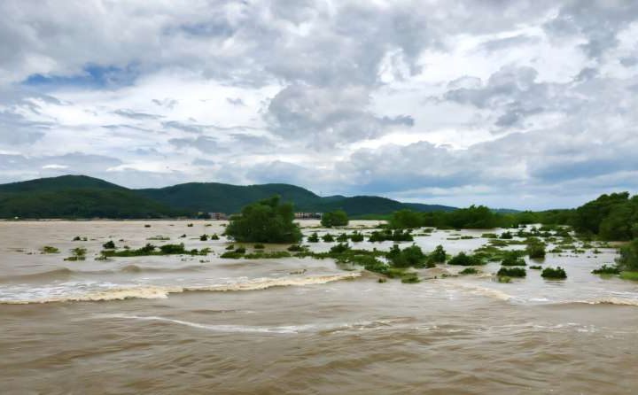 Simple method precisely calculates how mangroves protect coasts against strong waves