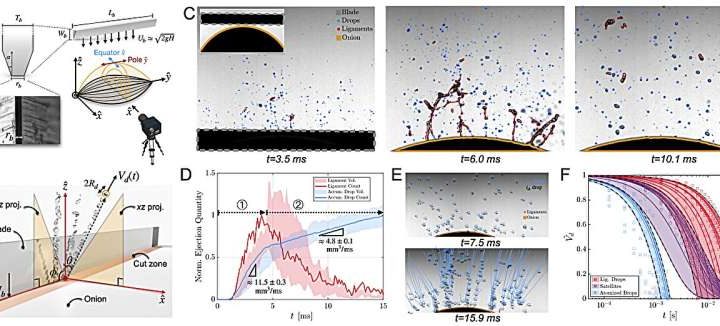 Physicists determine how to cut onions with fewer tears