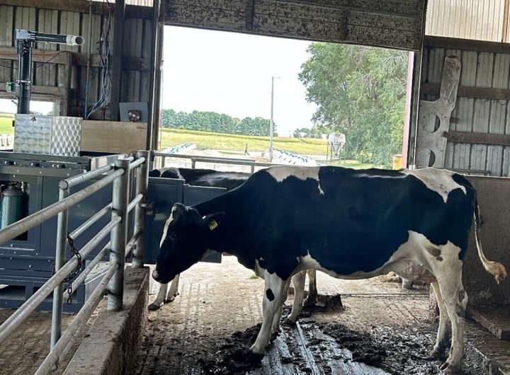 New open-source tool streamlines GreenFeed livestock emissions data analysis