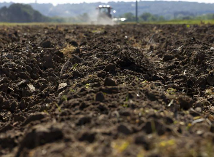 Publication reveals soil lab use, fertility findings for blackberries, row crops, forages