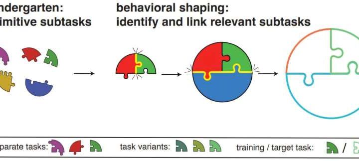 AI goes to ‘kindergarten’ in order to learn more complex tasks