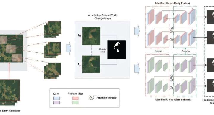 Tech on the treetops: How AI can protect forests
