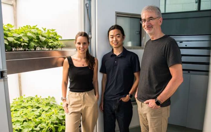 Vertical farming can increase yields and reduce environmental impact