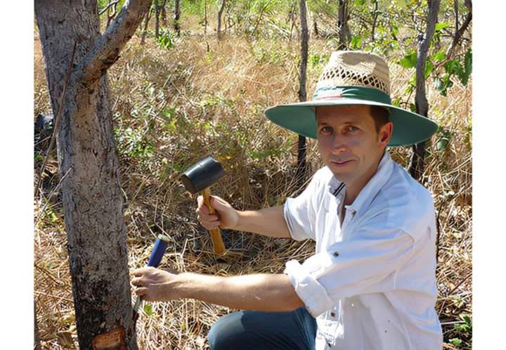 Warming climate may flip the script on the amount of CO₂ released by trees, study finds