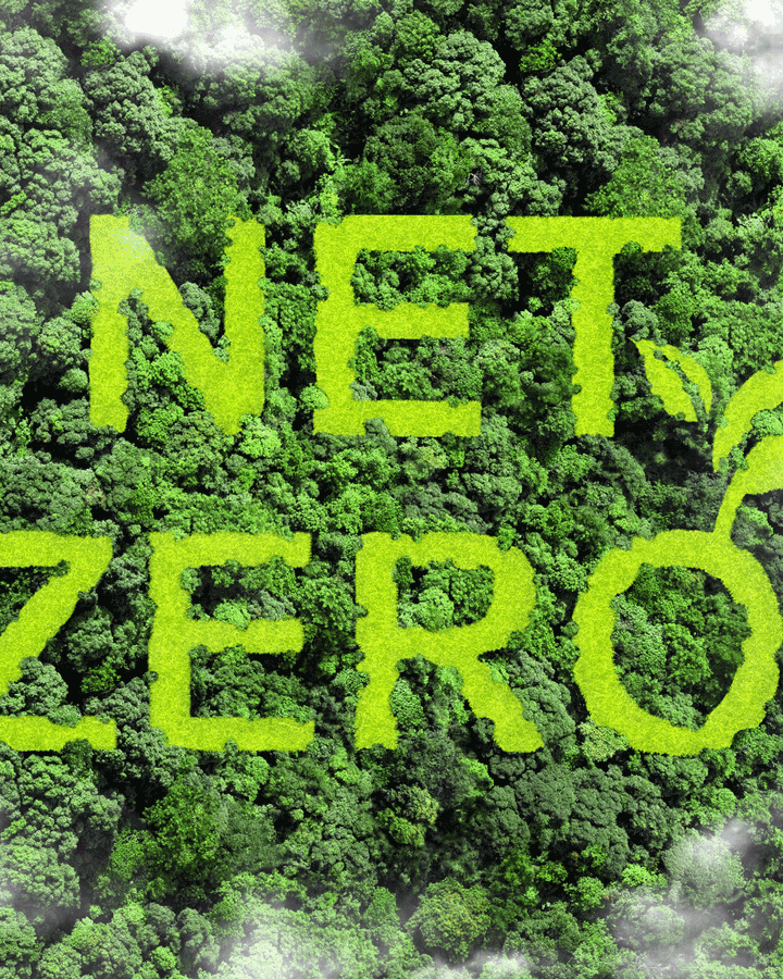 Businesses urged to act now as net-zero guidance enters new era