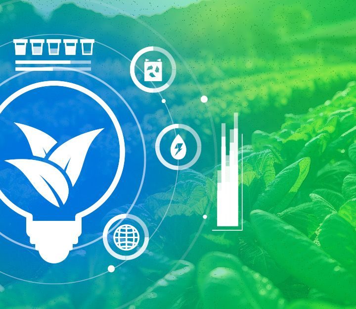 Offline Fields, Online Tools: The Struggle for IoT Adoption in Modern Farming