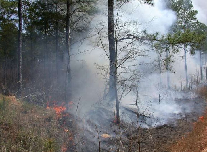 Study shows controlled burns can reduce wildfire intensity and smoke pollution