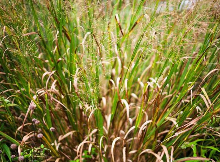 How restoring river catchments can minimize drought and flood risks