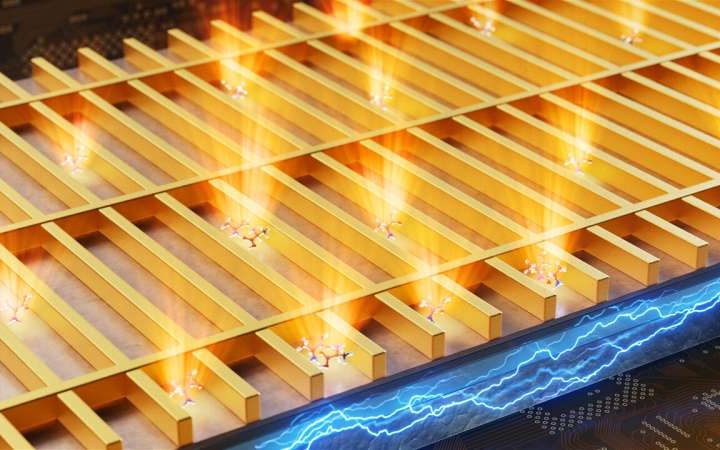 Scientists build first self-illuminating biosensor