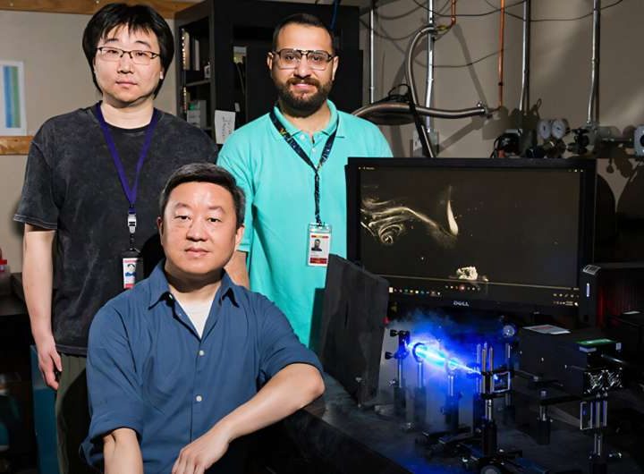 Universal law of quantum vortex dynamics discovered in superfluid helium