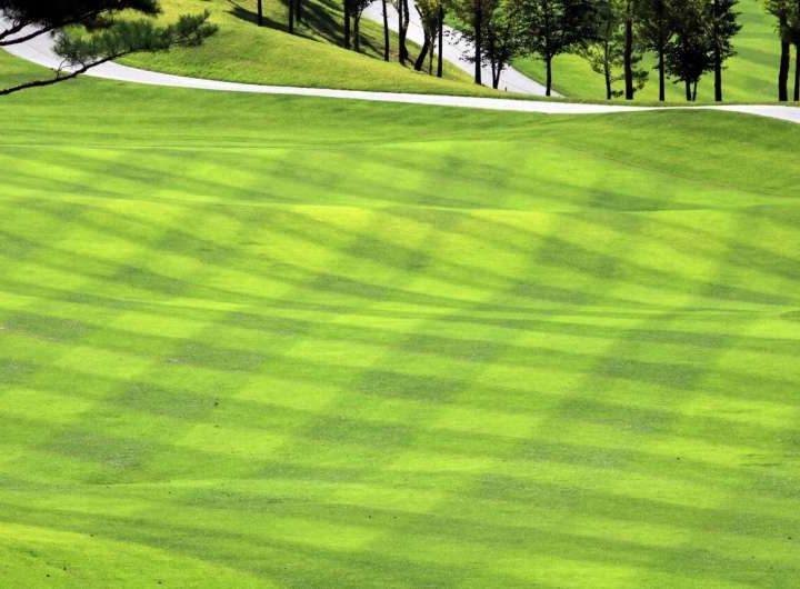 Lawn story: Turfgrass data may improve urban greenhouse gas emission estimates