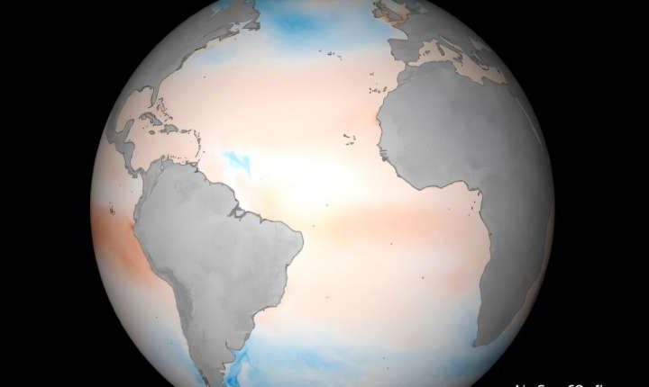 High-resolution mapping reveals ocean carbon sink detail