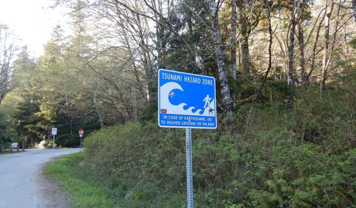 New machine learning model improves early tsunami warnings