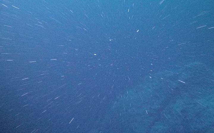 New study uncovers surprising physics of ‘marine snow’