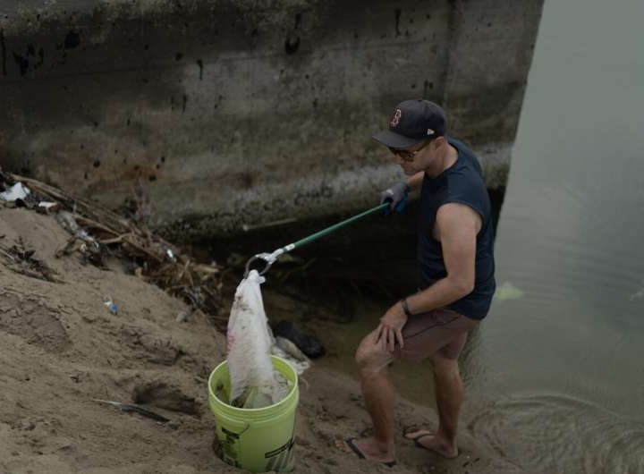 Plastic bag bans help: Study finds up to 47% drop in shoreline bag litter