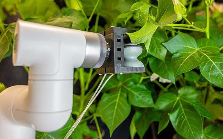 Gentle robot gripper gives plant leaves a ‘shot’ of sensors and genes for smart farming
