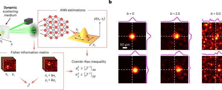 AI algorithms approach the theoretical limit of optical measurement precision