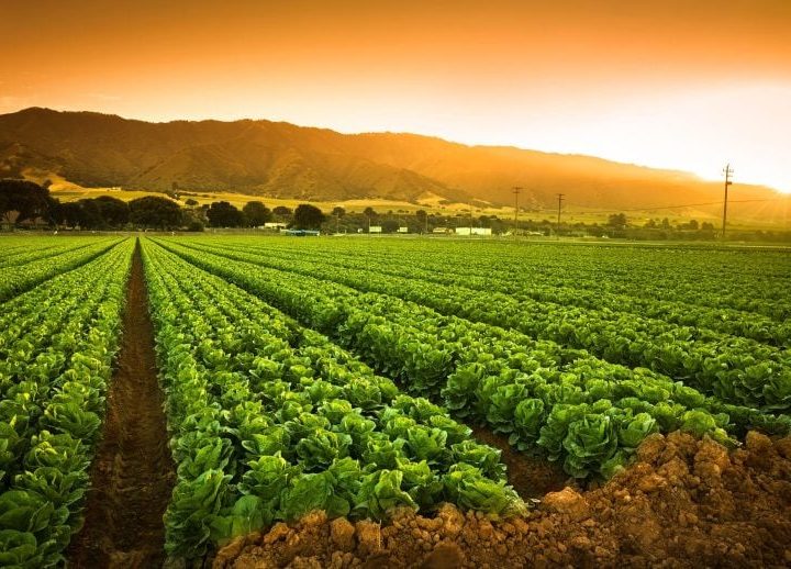 The power of poop: How human waste can boost crop yields and cut greenhouse gas emissions