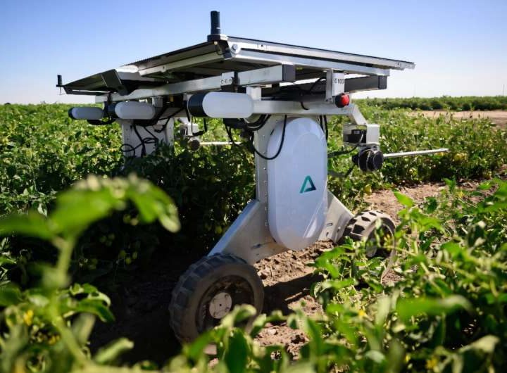 AI robots fill in for weed killers and farm hands