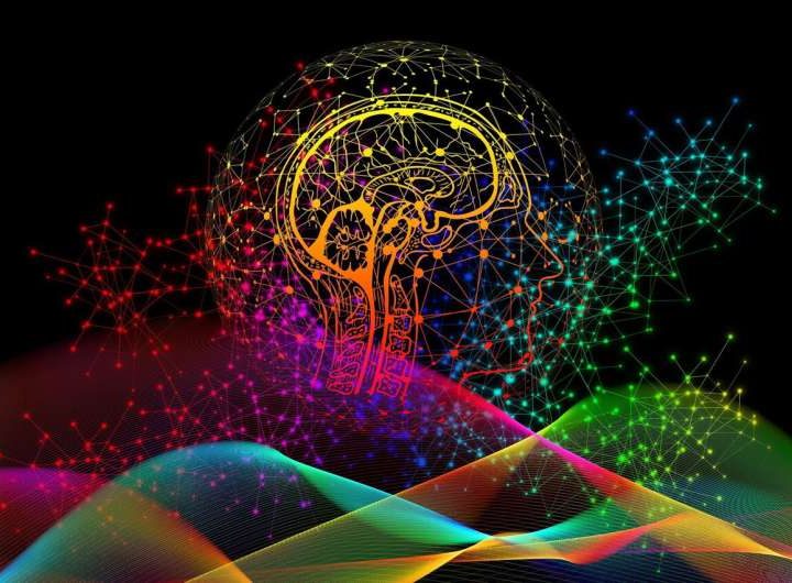 Can AI really code? Study maps the roadblocks to autonomous software engineering