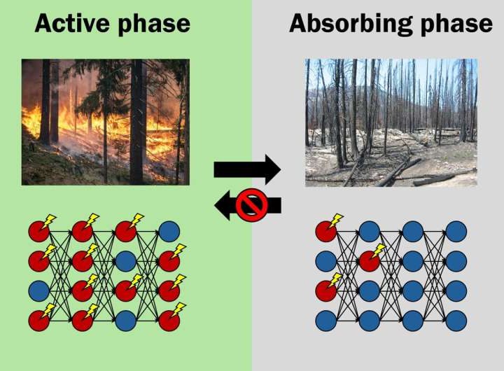 Common feature between forest fires and neural networks reveals universal framework