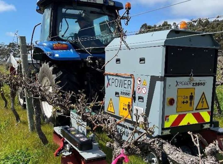 Electric weed control proves shockingly effective