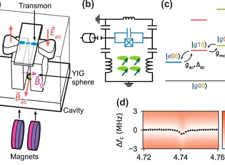 Enhanced quantum computers and beyond: Exploring magnons with superconducting qubits