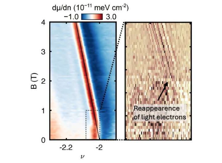 Light and heavy electrons cooperate in magic-angle superconductors