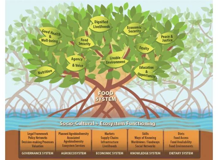 Mangrove as metaphor: Adaptable plant offers inspiration for sustainable food systems model