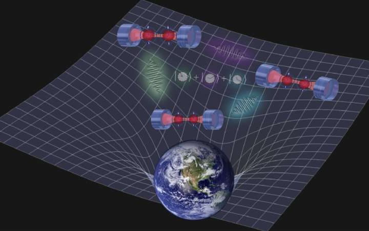 Quantum networks of clocks open the door to probe how quantum theory and curved space-time intertwine