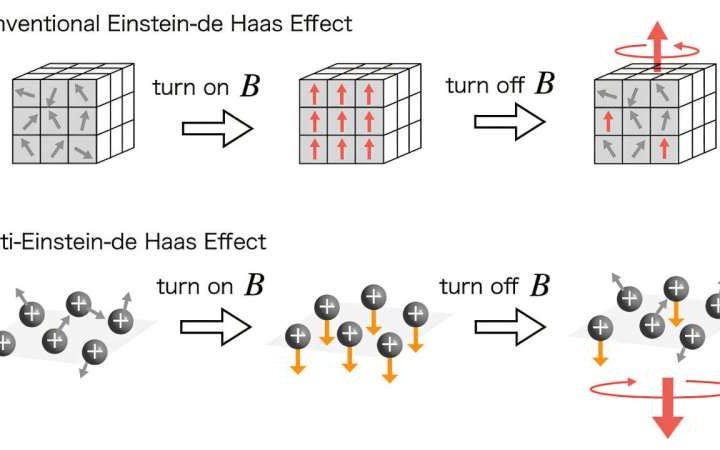 Strong magnetic fields flip angular momentum dynamics in magnetovortical matter