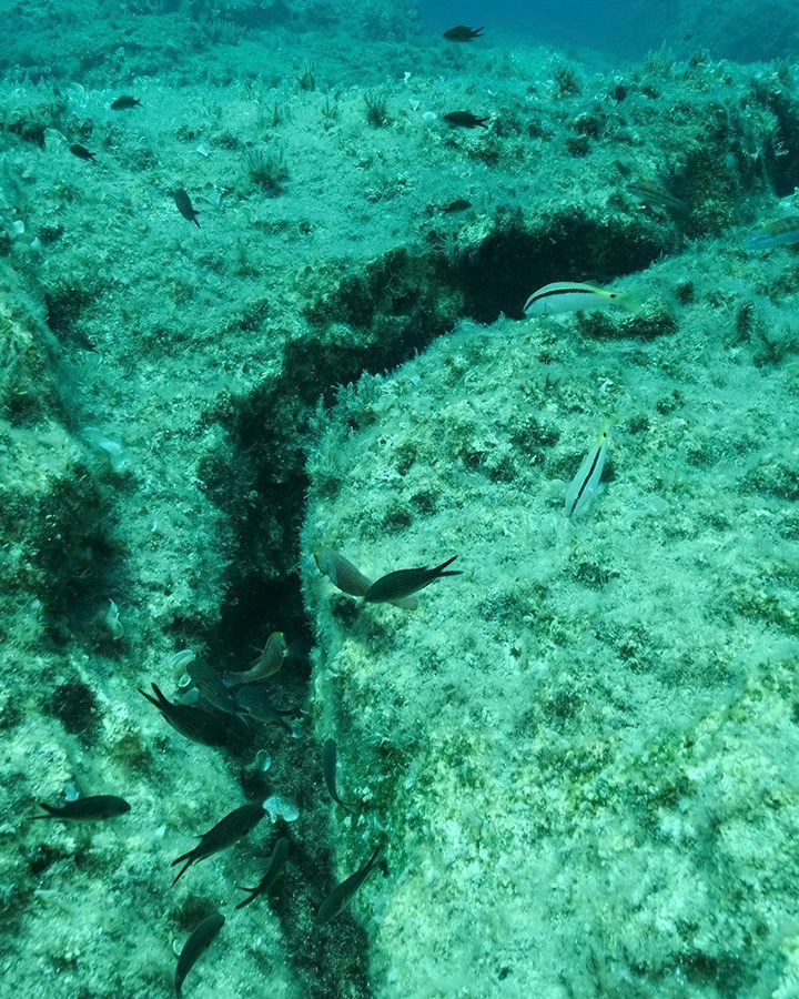 Autonomous seaplane to monitor seafloor for early earthquake warnings