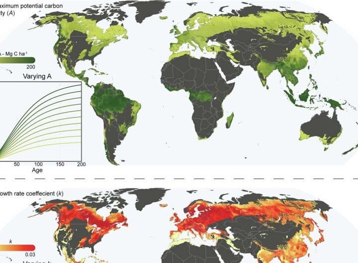 Young forests could help to capture carbon in climate change fight