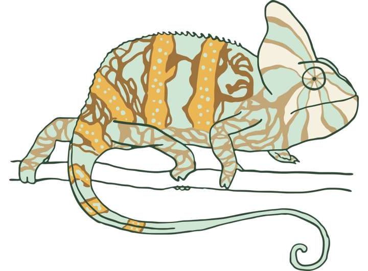 A calmer, karma, CARMA algorithmic chameleon to improve noisy or incomplete data