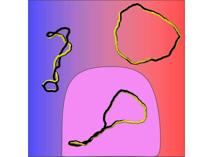 Controlling polymer shapes: A new generation of shape-adaptive materials