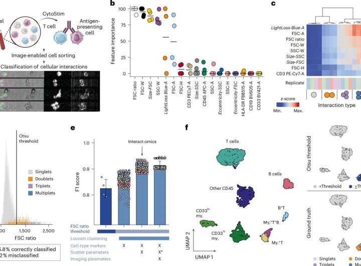 New technology maps immune cell communication to guide personalized cancer therapies
